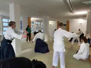 Gemeinsam Aikido Techniken üben