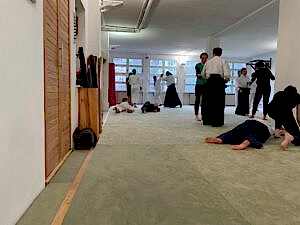 Probetraining Aikido